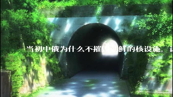 当初中俄为什么不摧毁朝鲜的核设施，让朝鲜拥有了自己的核武器？