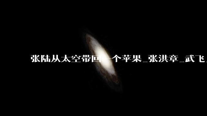 张陆从太空带回一个苹果_张洪章_武飞_任务