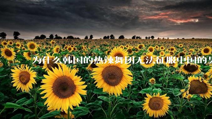 为什么韩国的热辣舞团无法征服中国的男性市场？？