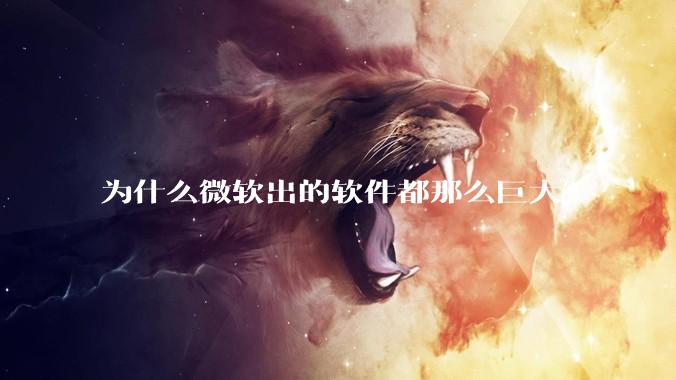为什么微软出的软件都那么巨大？