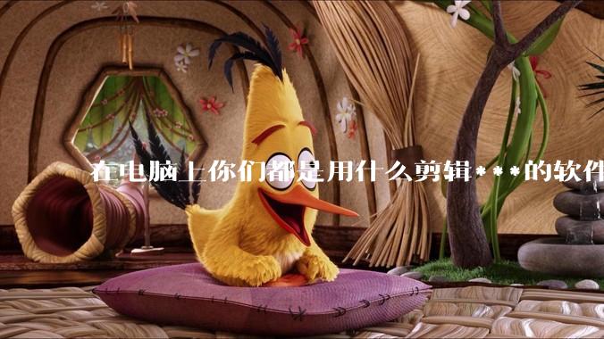 在电脑上你们都是用什么剪辑***的软件啊？