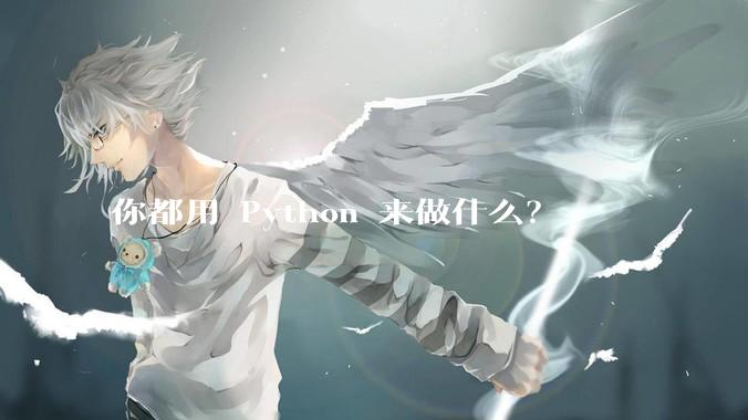 你都用 Python 来做什么？